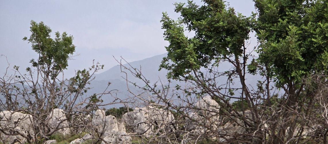 εικόνα ακινήτου