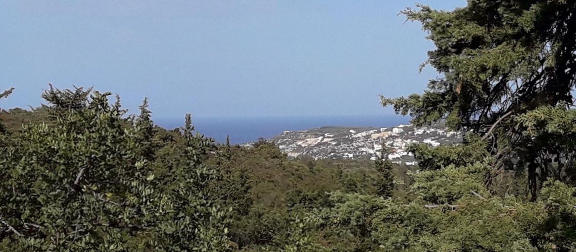 εικόνα ακινήτου