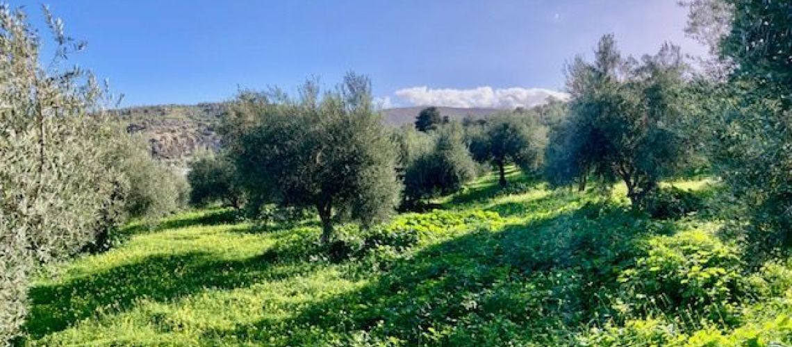 εικόνα ακινήτου