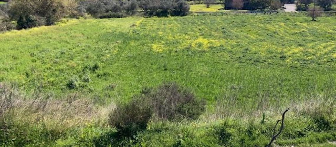 εικόνα ακινήτου