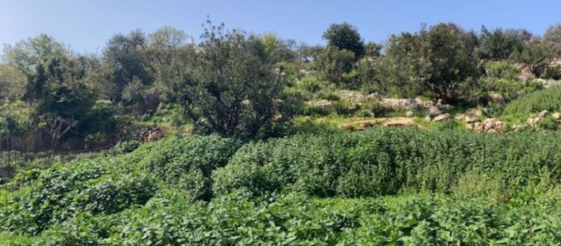 εικόνα ακινήτου