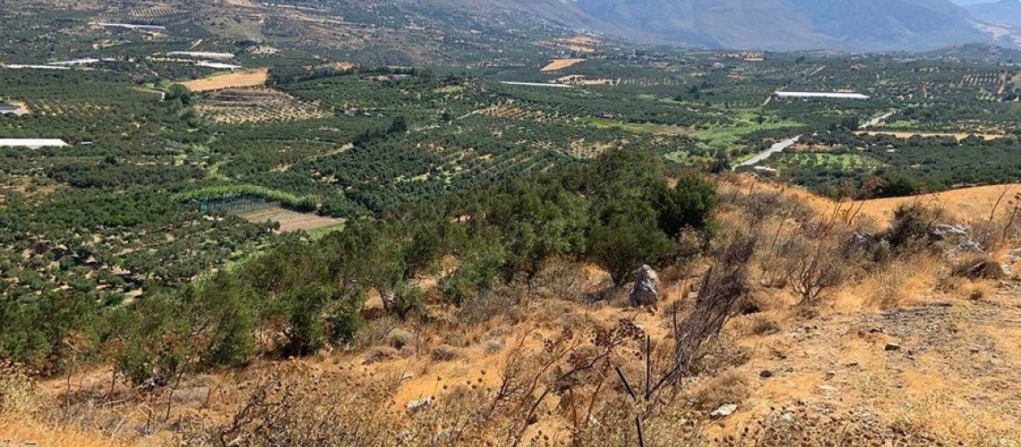 εικόνα ακινήτου