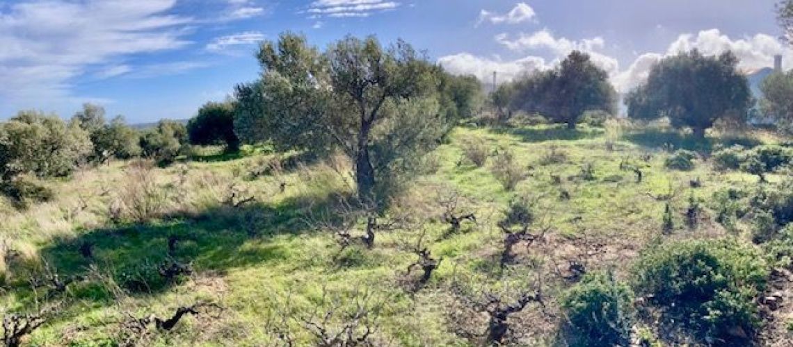 εικόνα ακινήτου