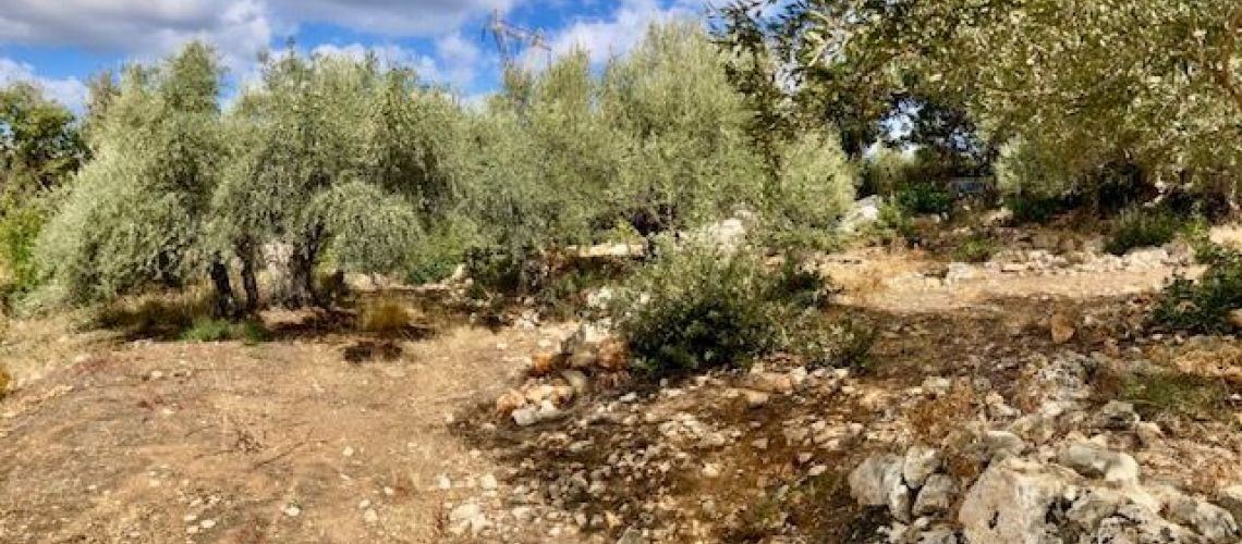 εικόνα ακινήτου