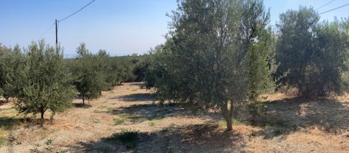 εικόνα ακινήτου