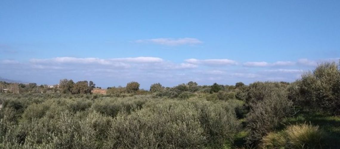 εικόνα ακινήτου