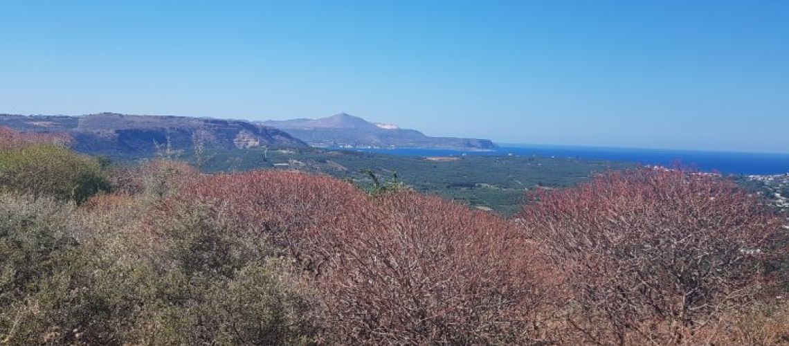 εικόνα ακινήτου