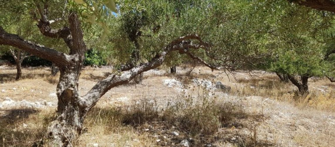 εικόνα ακινήτου