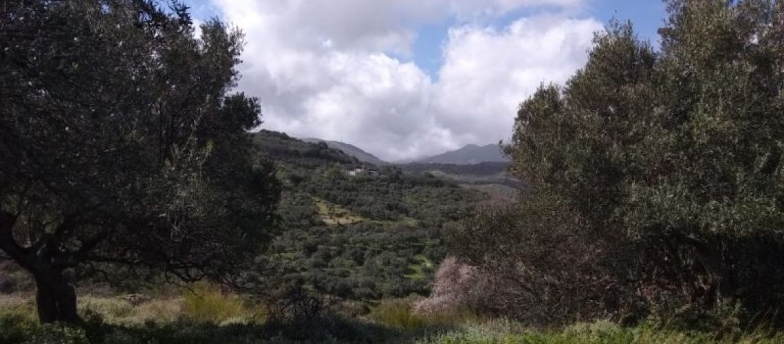 εικόνα ακινήτου