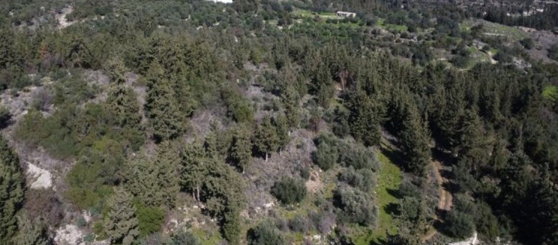 εικόνα ακινήτου