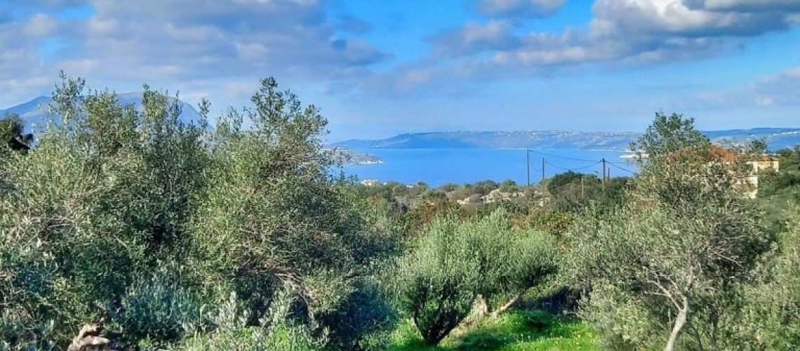 εικόνα ακινήτου