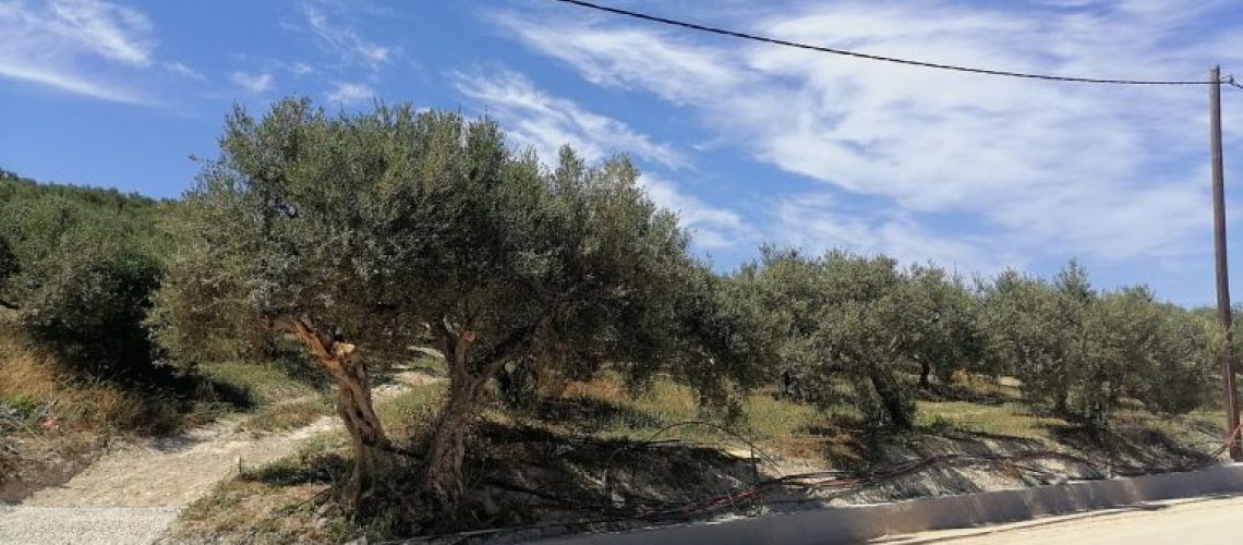 εικόνα ακινήτου