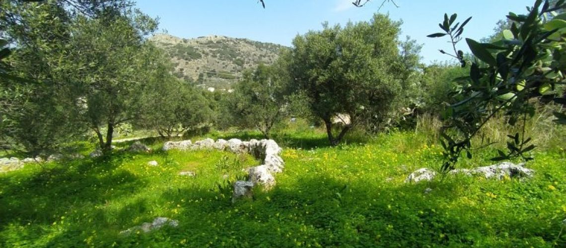 εικόνα ακινήτου