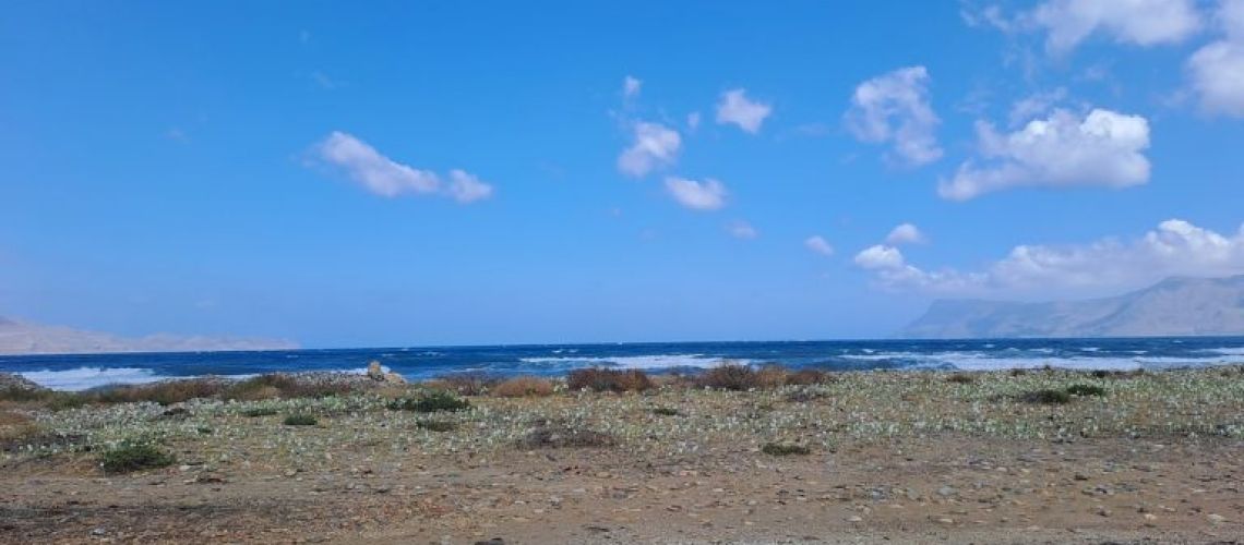 εικόνα ακινήτου