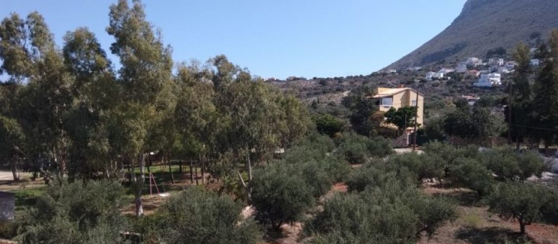 εικόνα ακινήτου