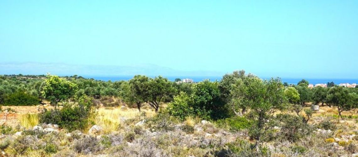 εικόνα ακινήτου