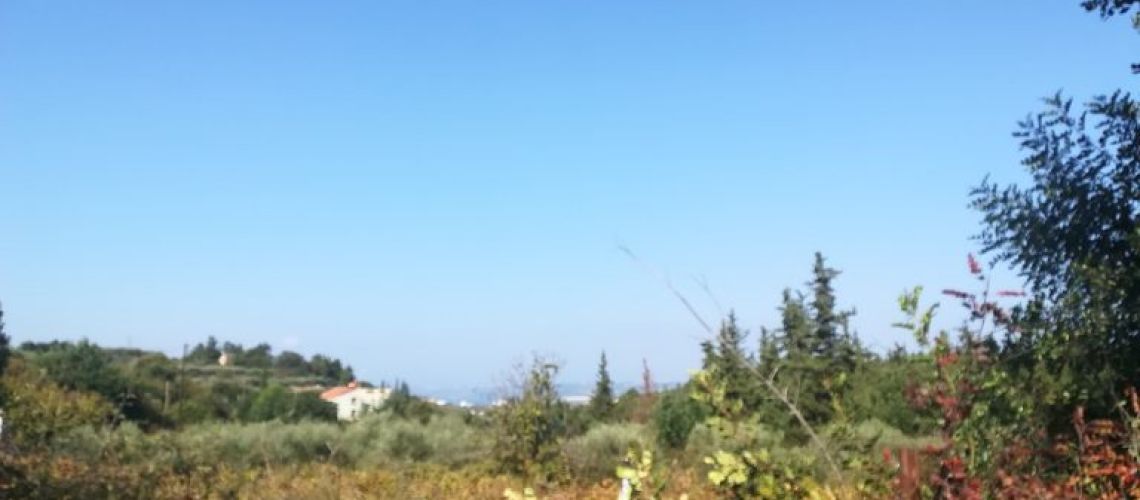 εικόνα ακινήτου