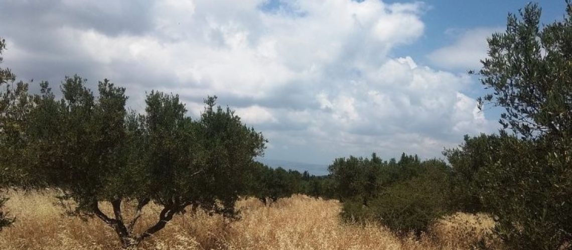 εικόνα ακινήτου
