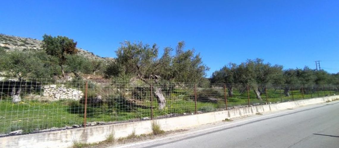 εικόνα ακινήτου