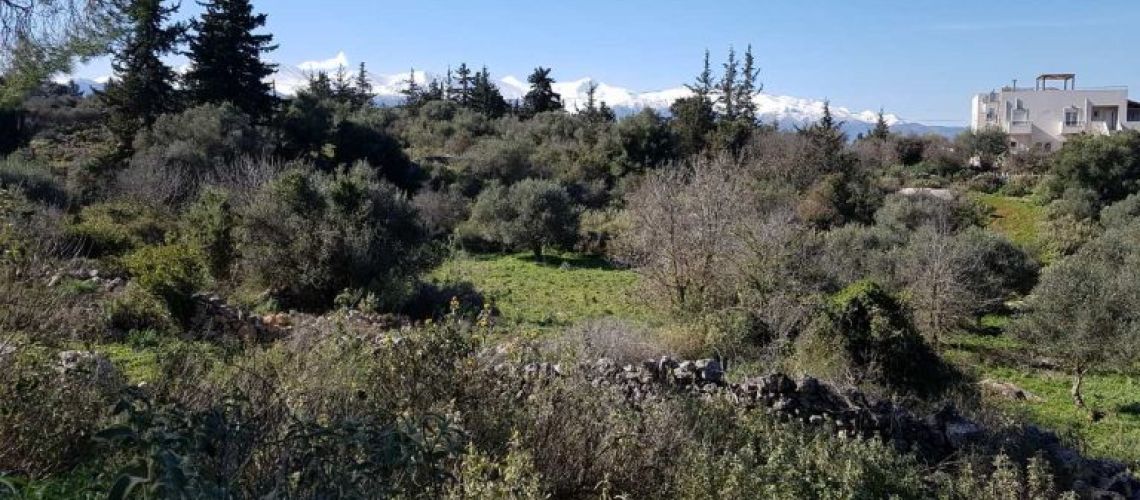 εικόνα ακινήτου