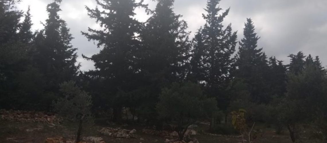 εικόνα ακινήτου