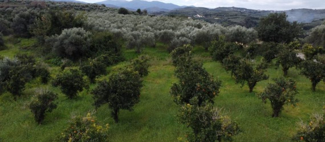 εικόνα ακινήτου