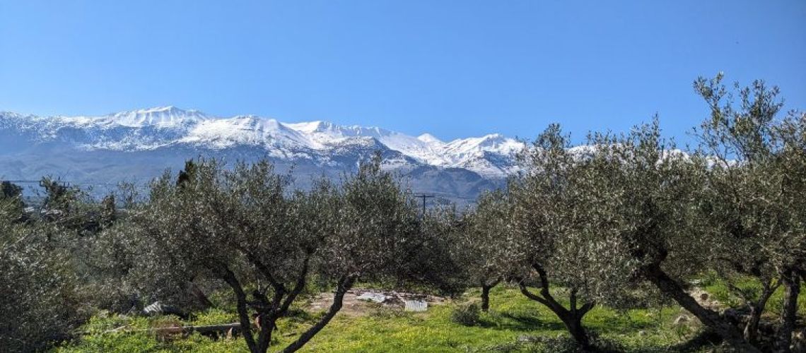 εικόνα ακινήτου