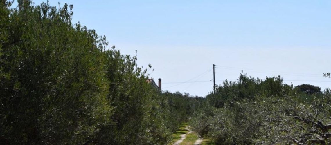 εικόνα ακινήτου