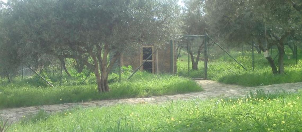 εικόνα ακινήτου