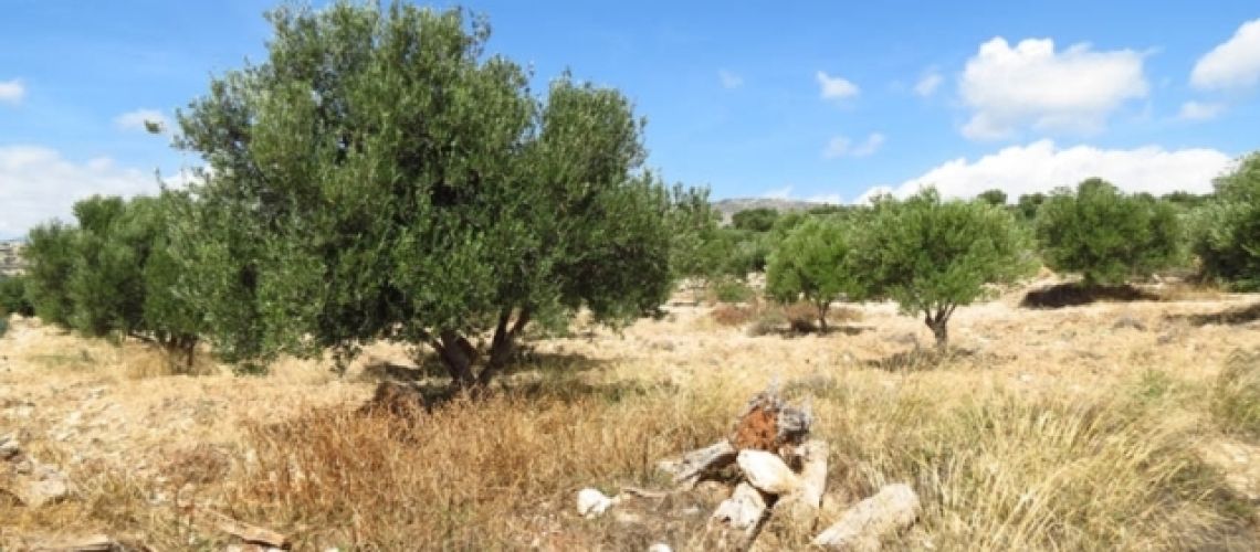 εικόνα ακινήτου