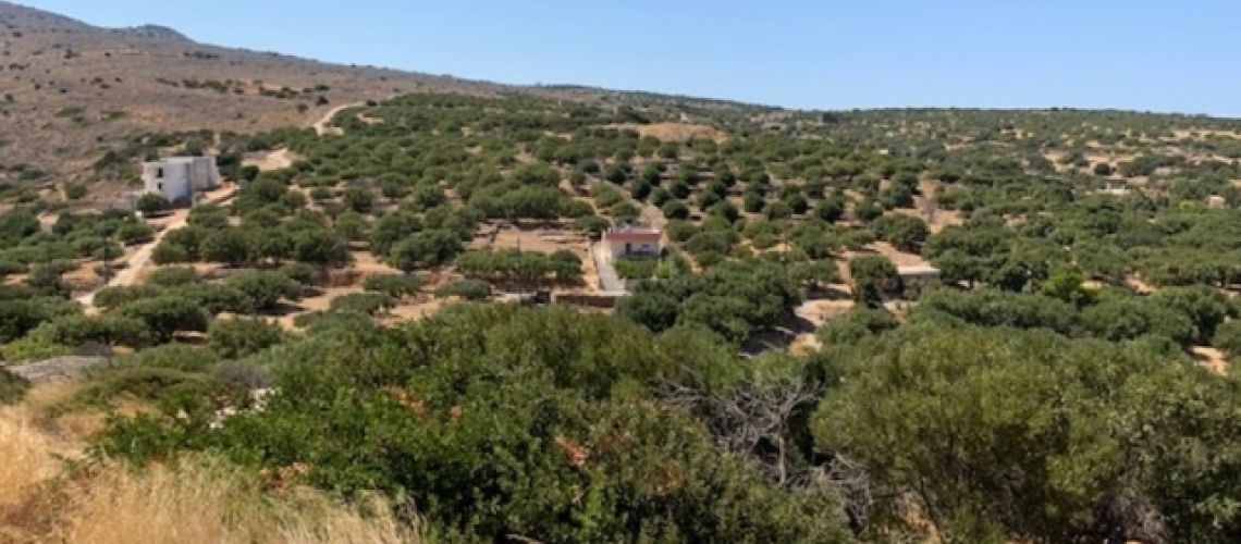 εικόνα ακινήτου