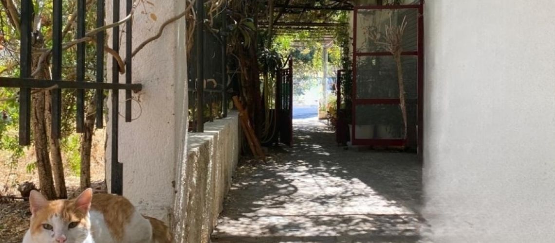 εικόνα ακινήτου