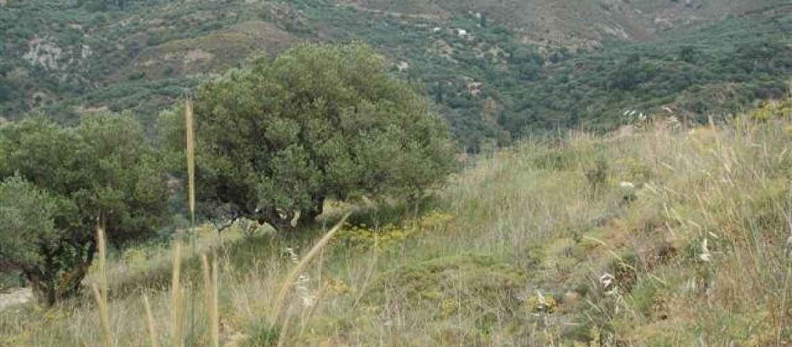 εικόνα ακινήτου