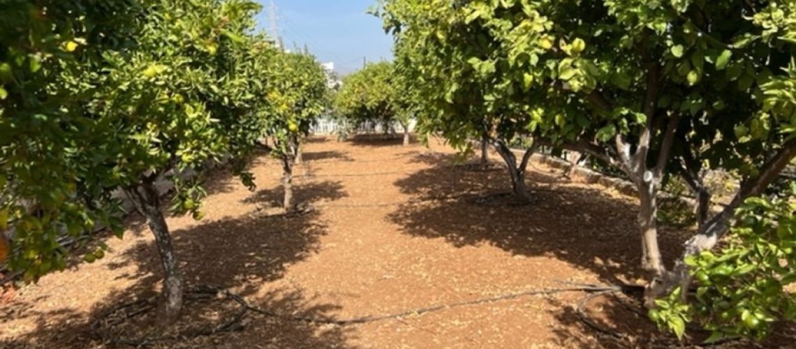 εικόνα ακινήτου
