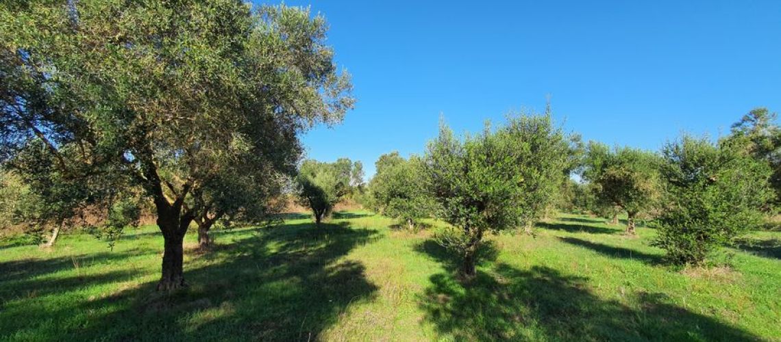 εικόνα ακινήτου