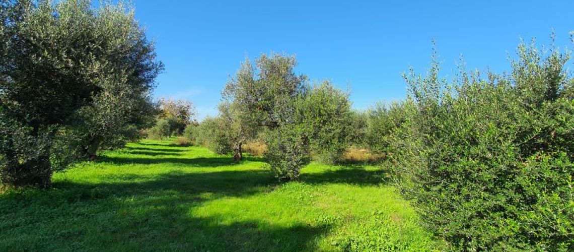 εικόνα ακινήτου