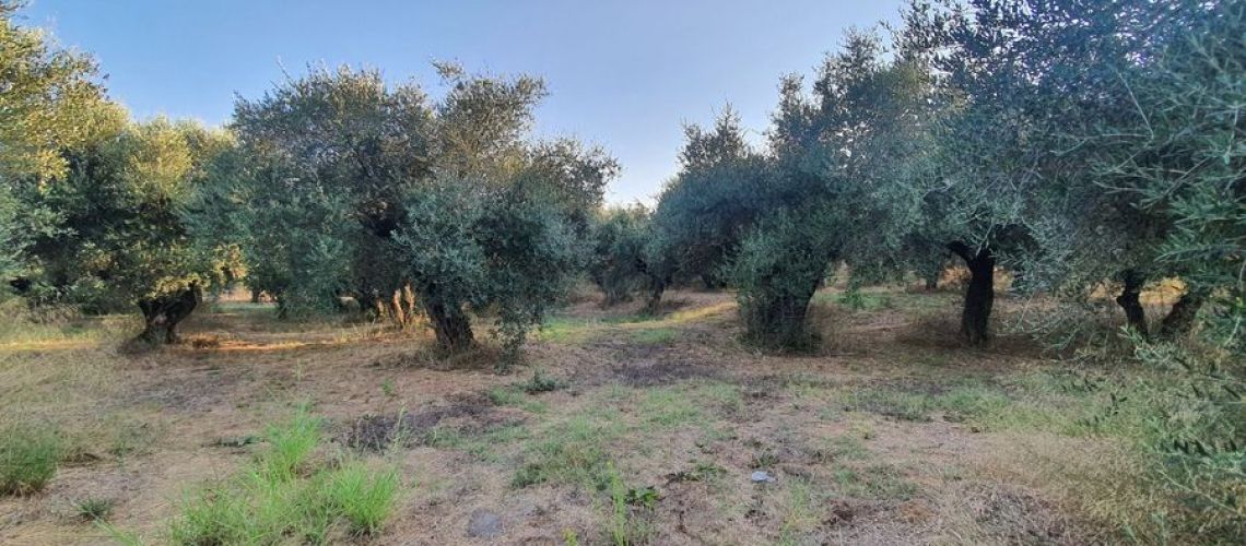 εικόνα ακινήτου