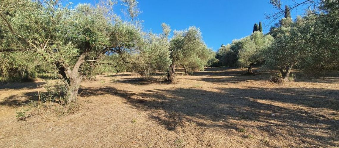 εικόνα ακινήτου