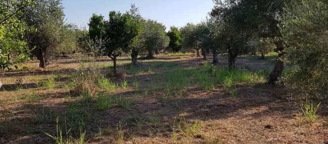 εικόνα ακινήτου