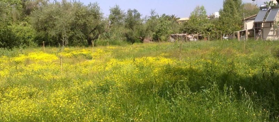 εικόνα ακινήτου
