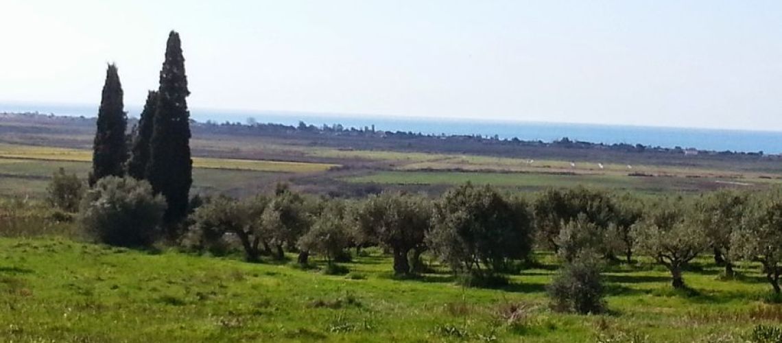 εικόνα ακινήτου