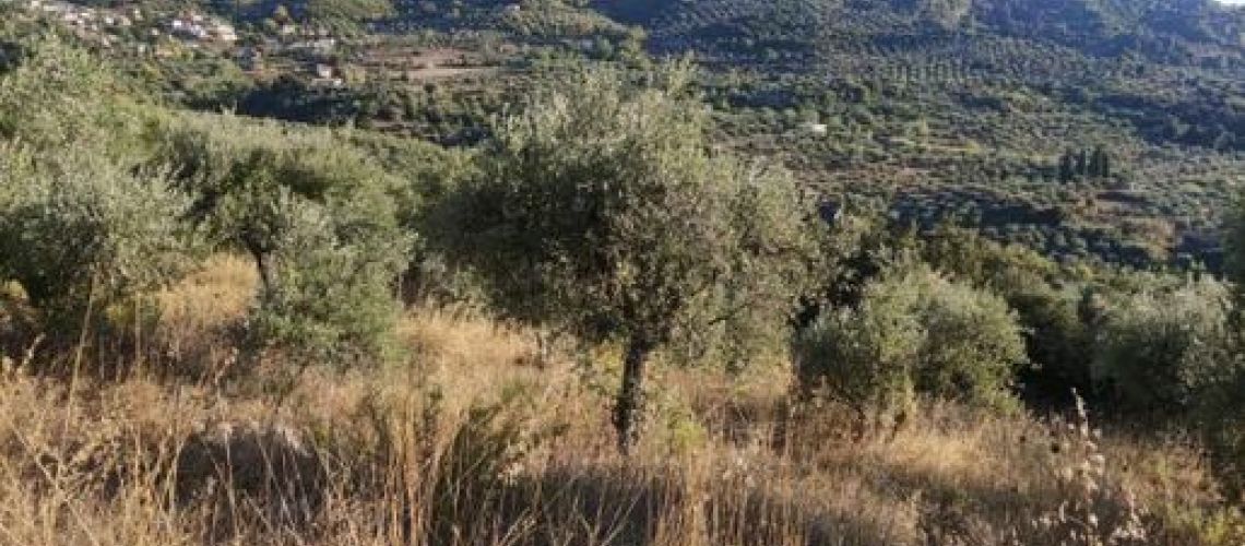 εικόνα ακινήτου