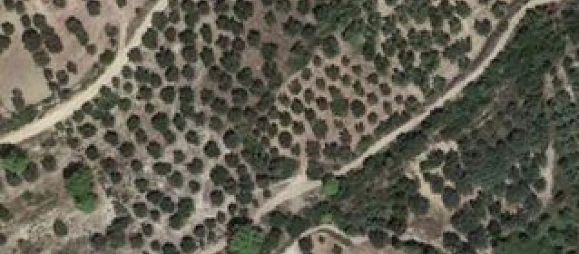 εικόνα ακινήτου