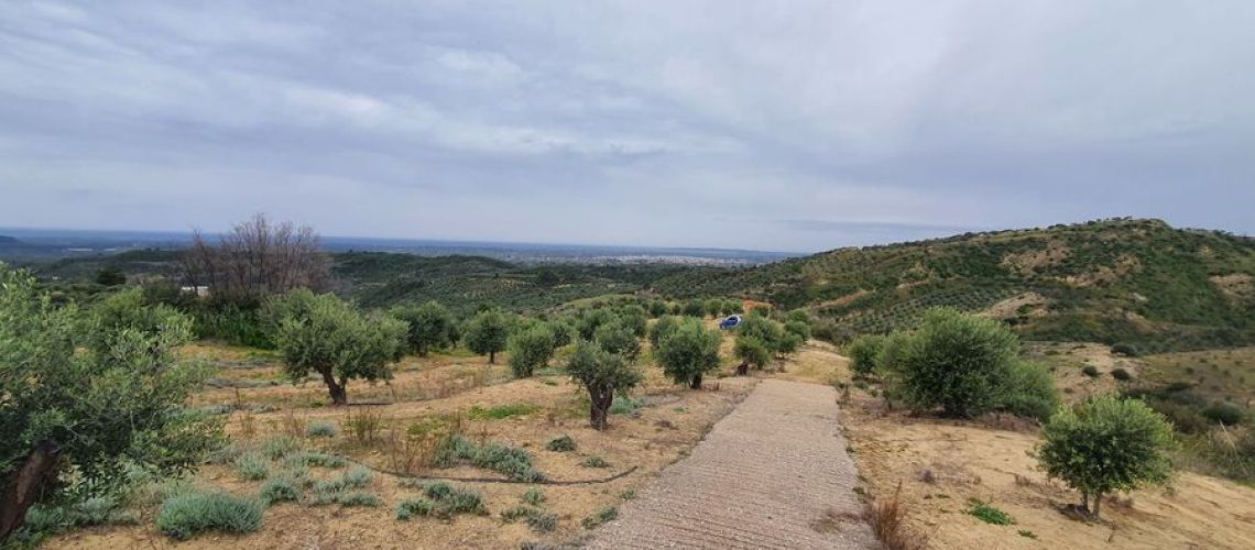 εικόνα ακινήτου