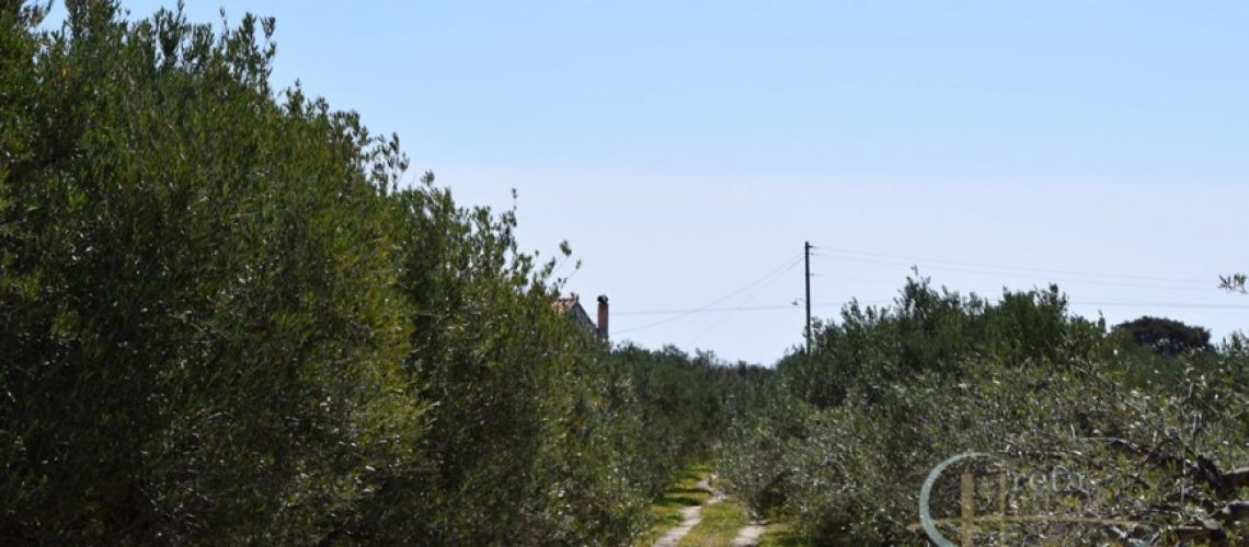 εικόνα ακινήτου