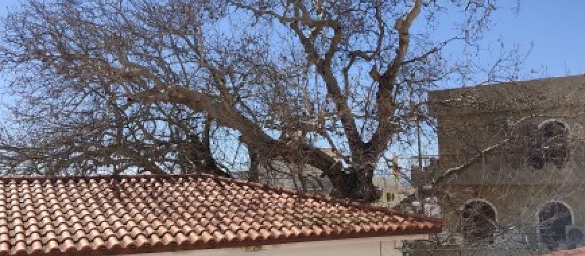 εικόνα ακινήτου