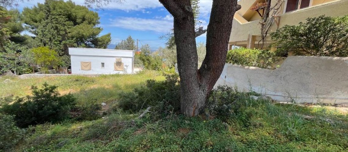 εικόνα ακινήτου