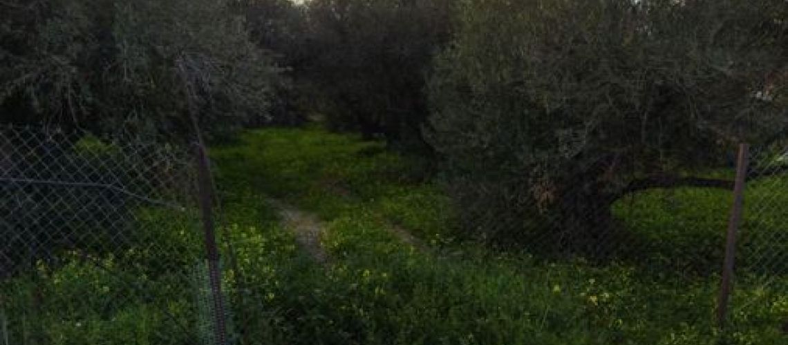 εικόνα ακινήτου