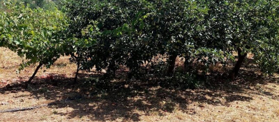 εικόνα ακινήτου