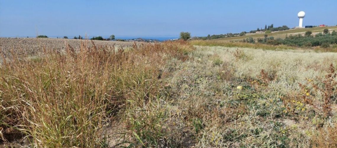 εικόνα ακινήτου